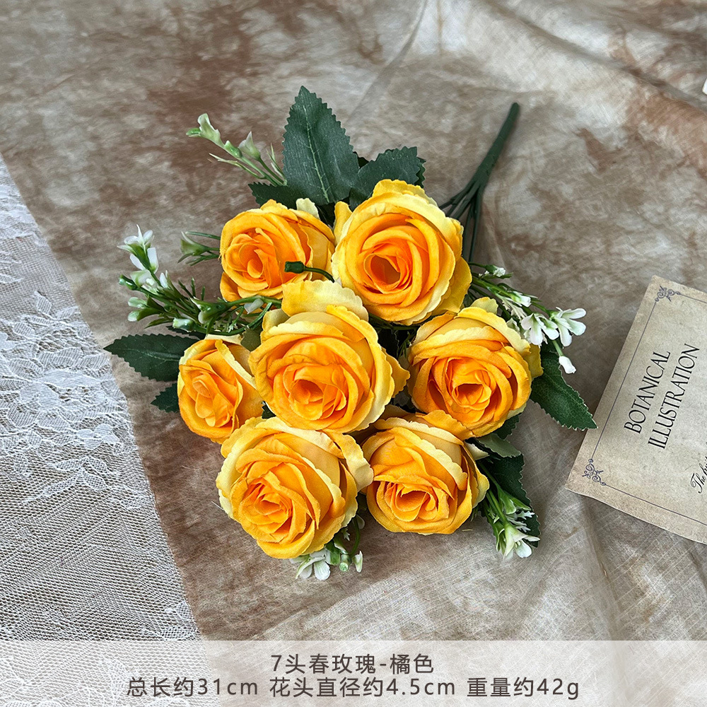 Rosas RLY-7 de primavera-Naranja