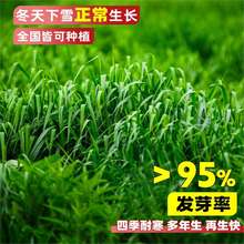 MͺݷNӶݷNļuZiţ~ݷN