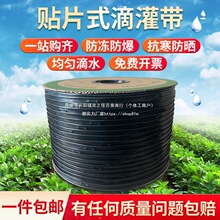 rõι16mmNƬʽp׆ο׃肵ι܎ĤµΎo׹