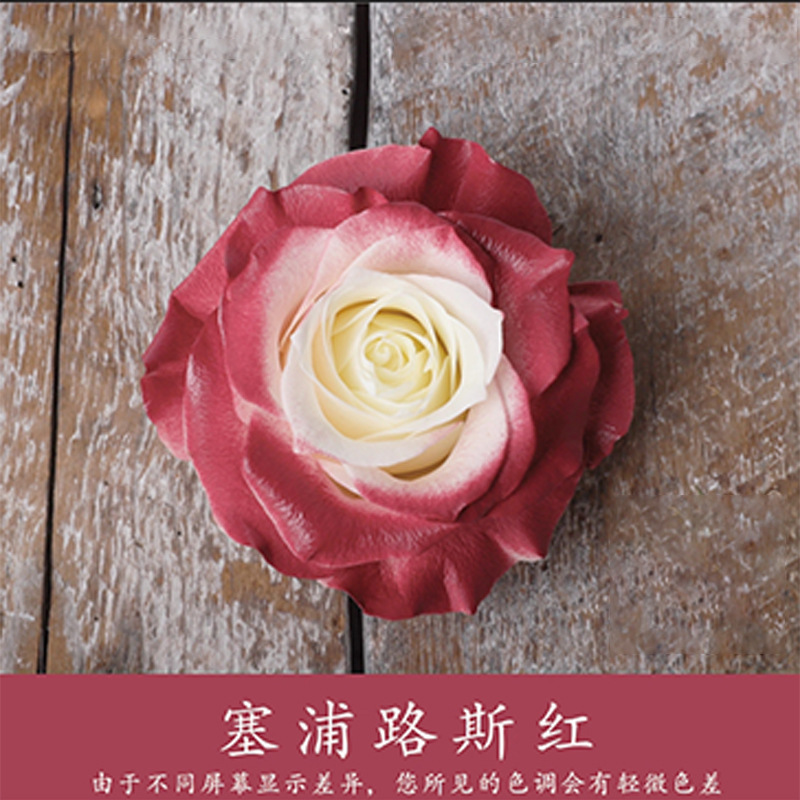 450ml agente de color de aerosol de flores al por mayor pintura en aerosol de secado rápido agente de teñido de rosas de color aerosol de color perlado floristería