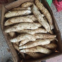 ��������o�����r���������ě�����1��3��5�����Ҝ�ʳ��2025��