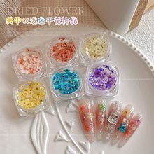 �ɻ������Ʒ��ɫ������ָ�����2025�¿��ͮ���껨���������l
