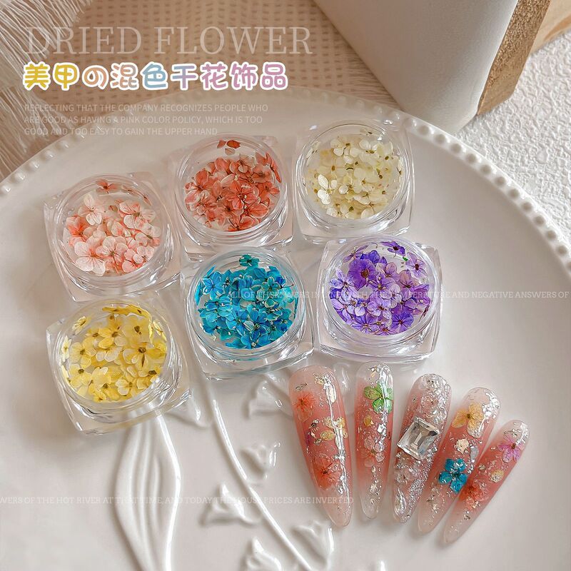 Dried Flower Nail Art Jewelry Color Flower Mixed Nail Accessories 2025 New Oil Painting Five-petal Flower Wear Armor Wholesale