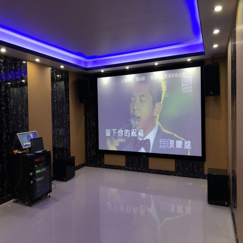 专业影K音响套装 私人5.1影K音响套装 酒吧KTV卡拉OK音响厂家