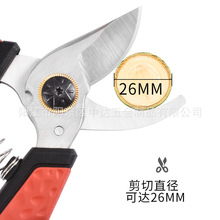 ֦֦@ˇP辰@ּ๦ܻ@֦l