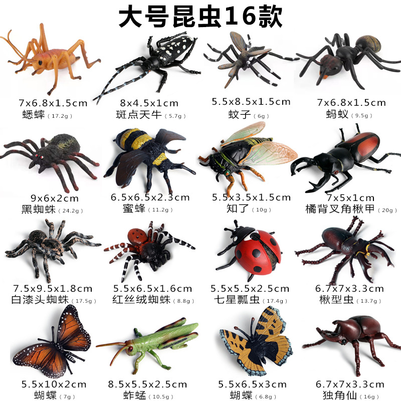 大昆虫16