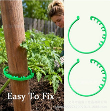 �羳�¿�Adjustable Plant Fixing Buckle���{��ֲ��̶�����