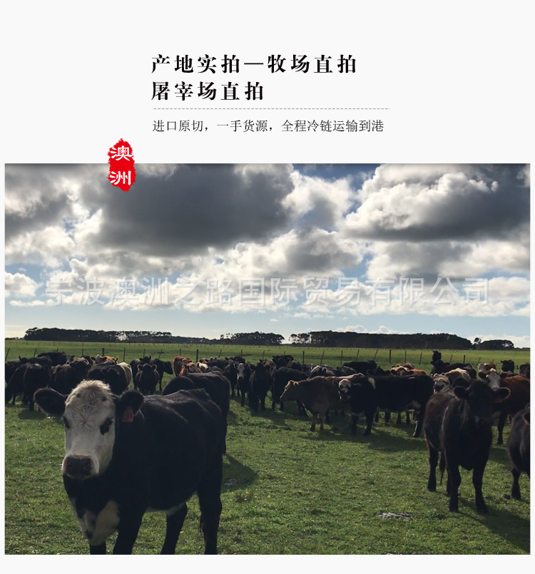 O1CN01Ltyggb1fmwqIoOvpB_!!2928