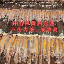 太保蚯蚓全开机蚯蚓开肚机地龙全开机地龙开肚机开膛机破麦麦太保