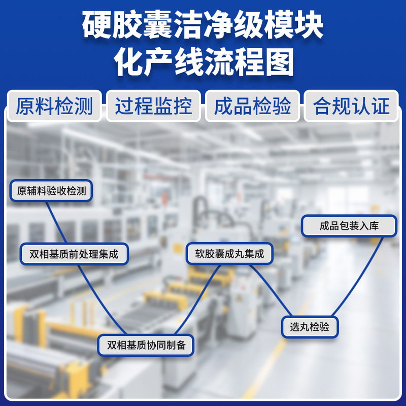 跨境热销脂质体NAD+终极版Liposomal NAD+ Ultimate植物胶囊定制|undefined