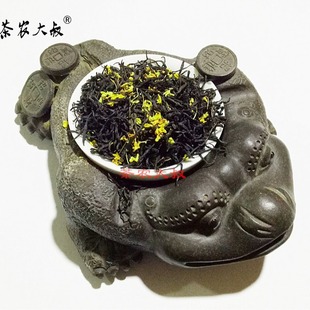 𻨾t÷ 2025²  ²𻨼t ݏSɢbl