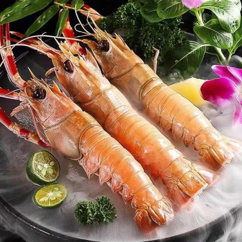 Outsize Zhoushan Sea turtle Deep sea Crayfish Sashimi Sweet shrimp Seafood Ingredients New Zealand