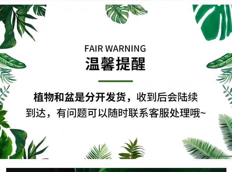245378b4-95e1-452e-96cd-c223e82bfcdc.png