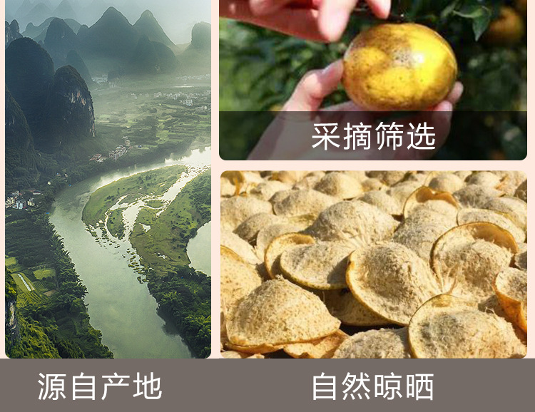 Chen Pi Shreds (Citrus reticulata) — Aged Dried Tangerine Peel, 70g Jar for Tea & Soup in use