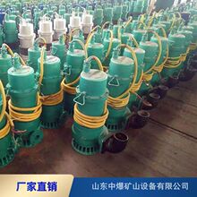 BQS200-200/4-200/Nǧ�ߵV��������ɳ�� ��P�� ����ˮ��MAú�V��