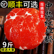 ����Ѫ��9�����w���A�t�������rˮ����������t������5Ě3ѩ��10