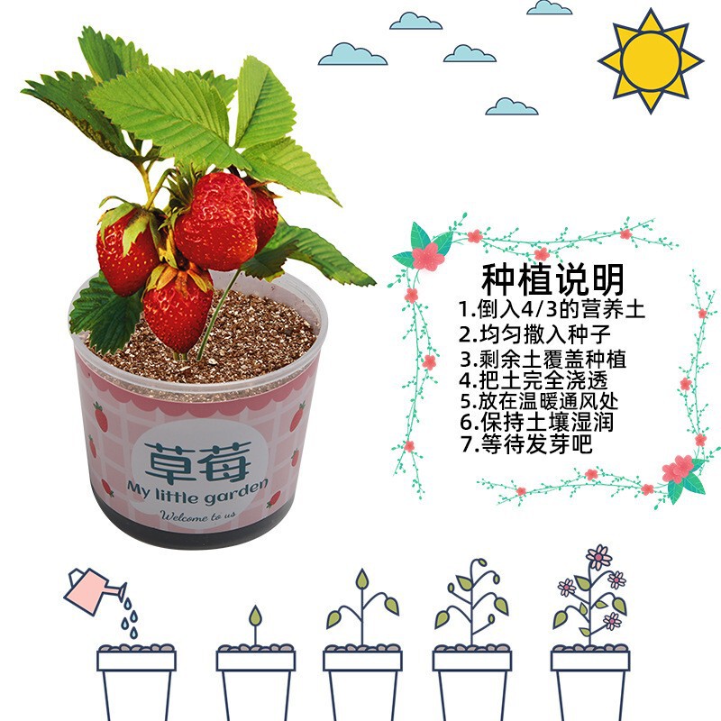 科学実験セット機器子供教育技術少量生産物理学発明DIY手作り材料小学生向け|undefined