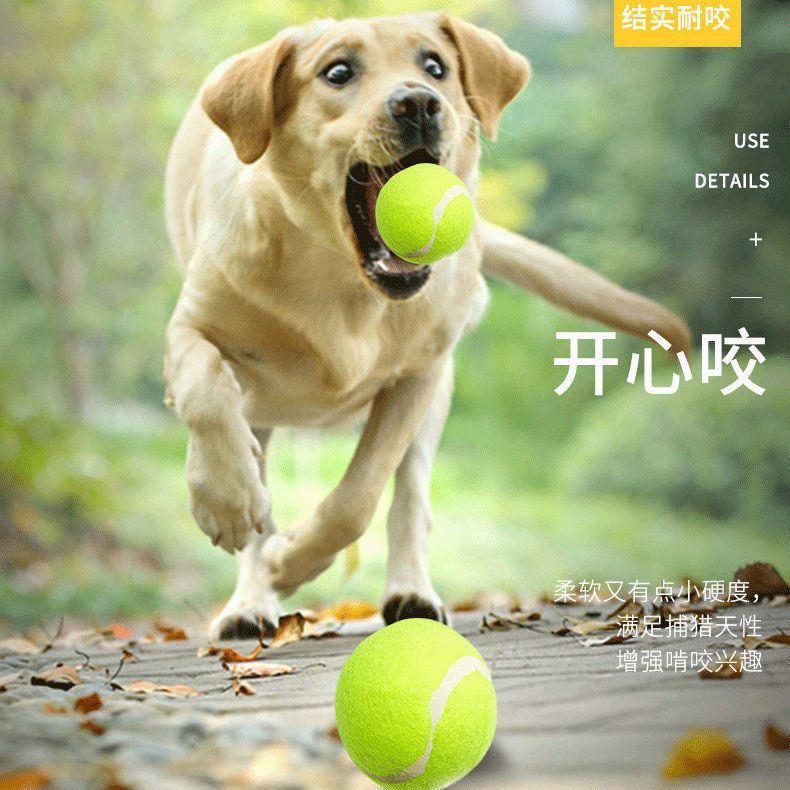 강아지 장난감 공, 자기 즐거움과 지루함 해소 유물, 애완 동물 보더 셰퍼드, 골든 리트리버, 코기, 물림 방지 공, 훈련 어금니 테니스 공, 고무