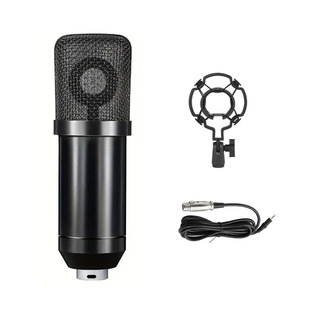 Bm700 Condenser Microphone Dual Microphone Sound Card Equipment Live Streaming Complete Set for Mobile Phone and Computer Recording Internet Celebrity Microphone Recording
