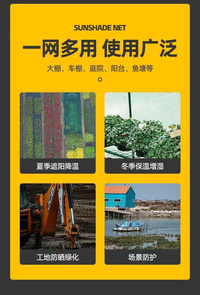 整卷详情3