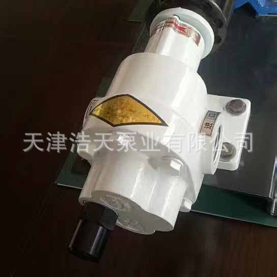 齿轮泵POMPE-F 润滑齿轮泵 高温齿轮泵 保温齿轮泵 不锈钢齿轮泵