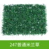 247 ordinary Milan grass