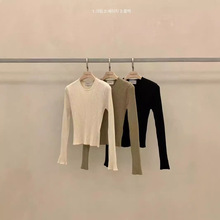 ���F؛���n���|���TTAMA���¿�s�A�I�Q�ӗl�����@��ᘿ���