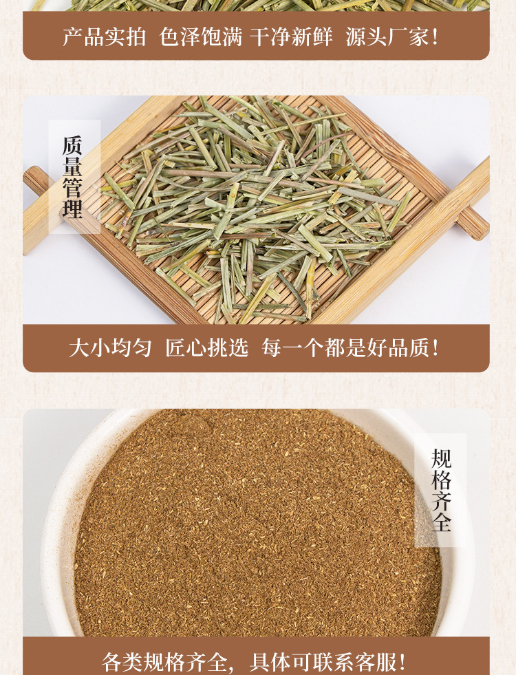 Dried Pine Needle Song Zhen Loose Herbal Tea 500g Traditional Chinese Herb specifications
