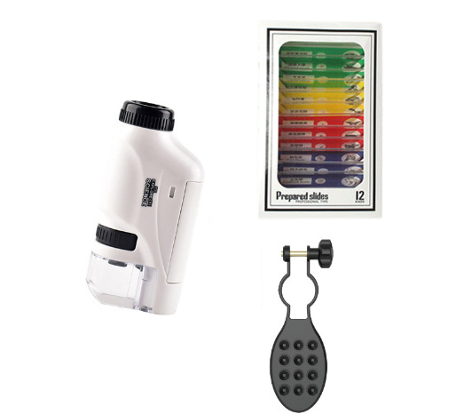 (영어) * 화이트 컬러 표본 휴대 전화 홀더