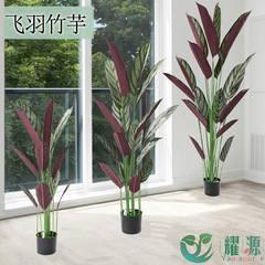 アマゾンのバイオニック盆栽の緑植飛羽竹芋の室内に着地した大型のシミュレーションツリーの装飾の人造大竹芋