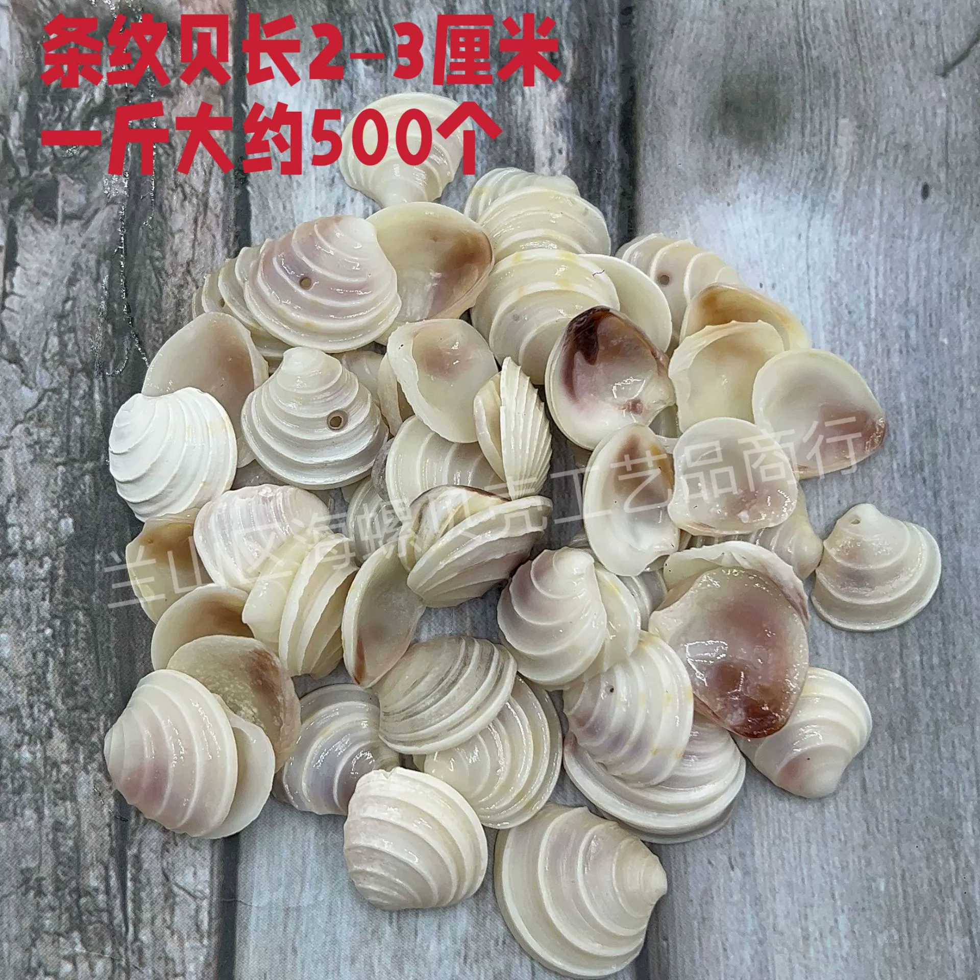 Shell Natural Shell Conch Stars Drifting Bottle Shell Crafts Wholesale Diy Handmade Shell Materials