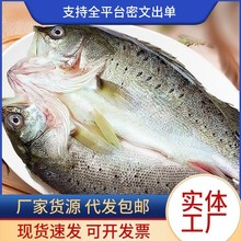 ����ϼ�ֺ��|�~ �_�����r����r����|�~ �|�~�������r���̳���