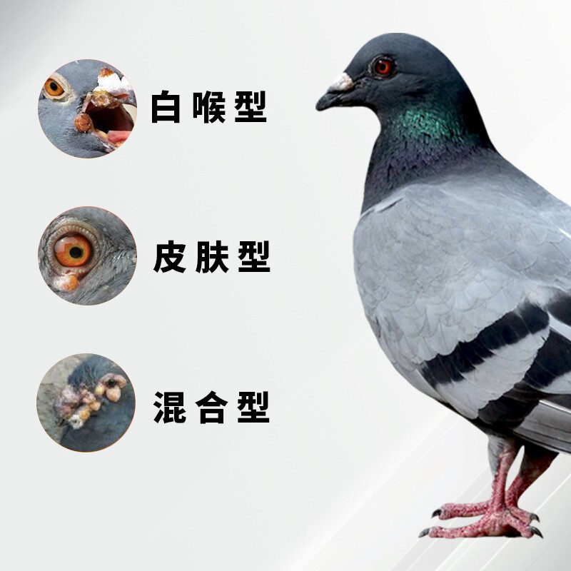 鸟痘鸟痘清专用鹦鹉清火鸽豆药鸟痘擦剂鸽痘灵牡丹虎皮玄凤专用|undefined