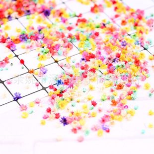 ?����С�ǻ��^�o�U�� diy�ɻ�mini�r��ˮ�����z�b������ɻ���