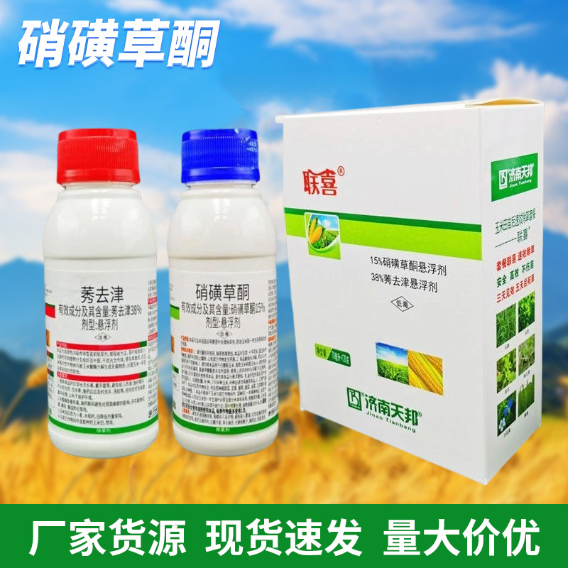 硝磺草酮秀去津莠去津玉米苗后专用除草神剂禾阔双杀不伤苗