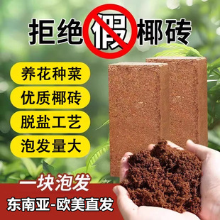 �羳���l�W���|�ρ�����Ҭ�u�I�B��ͨ��Ҭ����Ҭ����Ҭ���N���N��