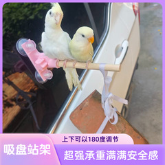 車載ガラス吸盤駅ラック浴室駅ポール鏡面駅ラック中小型インコ駅ラック