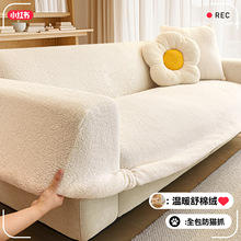 �����Lë�qɳ�l���ֶ����¿�2025����ɳ�l��ȫ���f���׷�؈ץ�w��