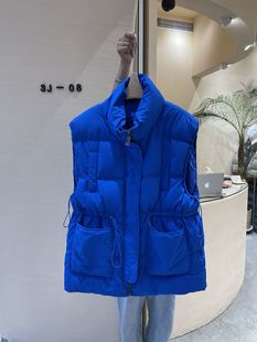 2022 New Hooded Down Cotton Vest Women's Klein Blue Autumn and Winter New Korean Vest Coat Foreign Trade Tide