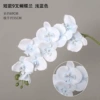 Short 9 fork Phalaenopsis Light Blue