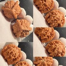 ��Ƥ����������⎧Ƥ����������������Ǫ{���^����y��ñĥ�P