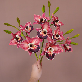 ��Ʒ�|3D�����m���滨�����m�Ҿ��b�����յ��߻�c�����ٻ����ٻ�