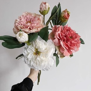 �p�ݴ���ĵ���͹ŷ�����ș�ͮ��L�ٻ��͏d�ҾӔ[���b����յ��߻�