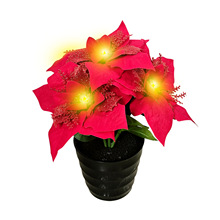 �����W�۷���һƷ�t���Կ羳����LED�l����}�Q���ռҾ��b[��