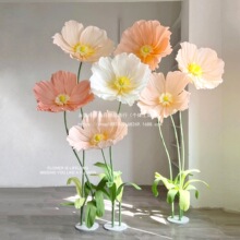 ���ͼ�����ˇ�����˻��㙉ɫ�W�t�������b����̈������[����ɫ