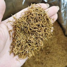 ɽtEüɽСN~÷ռ˲ɢbl