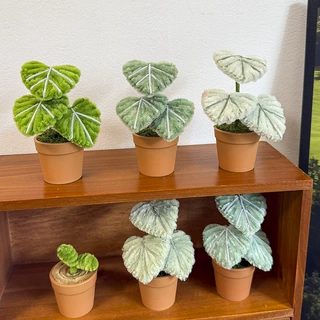 新品创意迷你毛绒盆栽装饰桌面绿植小盆栽仿真植物盆栽摆件可爱