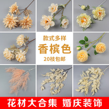 �㙉ɫϵ��c���滨��Y�þƵ��픻�·�����żٻ��b����滨��