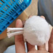 �S��ֱ�N�}�Qñë���Ʒ�}�Q����¹�Z¹�YƷ���bñ���o��ë�q��