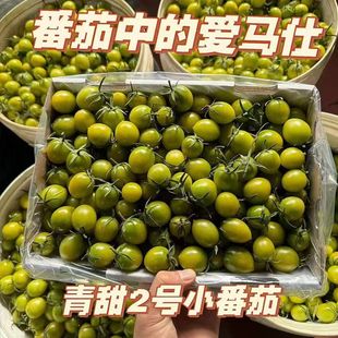 ��������2̖С�������r�Gɫ�}Ů���Fժ�F�l����С���t�����|���l